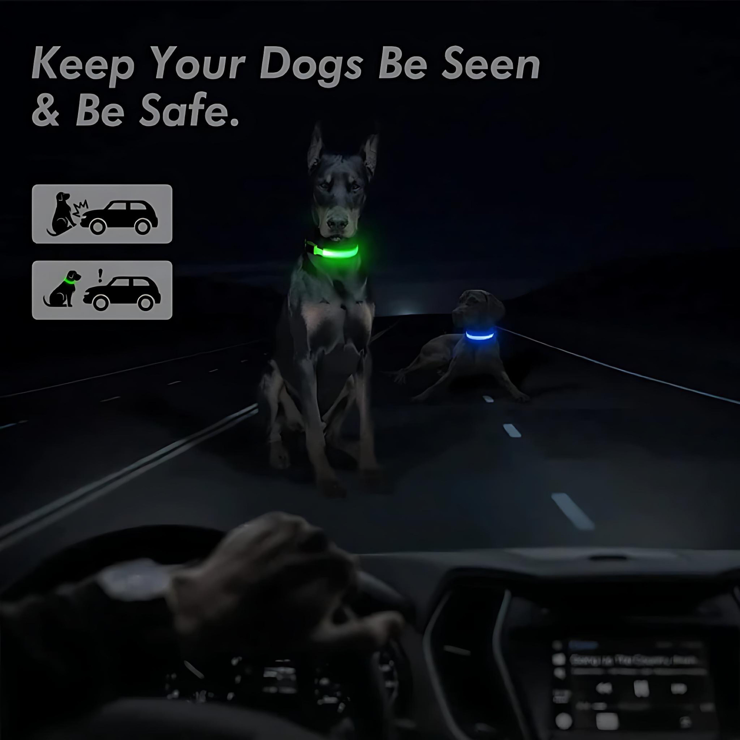 LED Adjustable Dog Collar – Waterproof Blinking Glow Safety Light for Pets by Wave & Hang