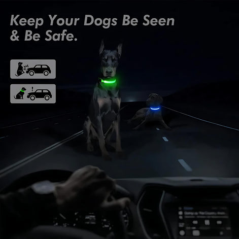 LED Adjustable Dog Collar – Waterproof Blinking Glow Safety Light for Pets by Wave & Hang