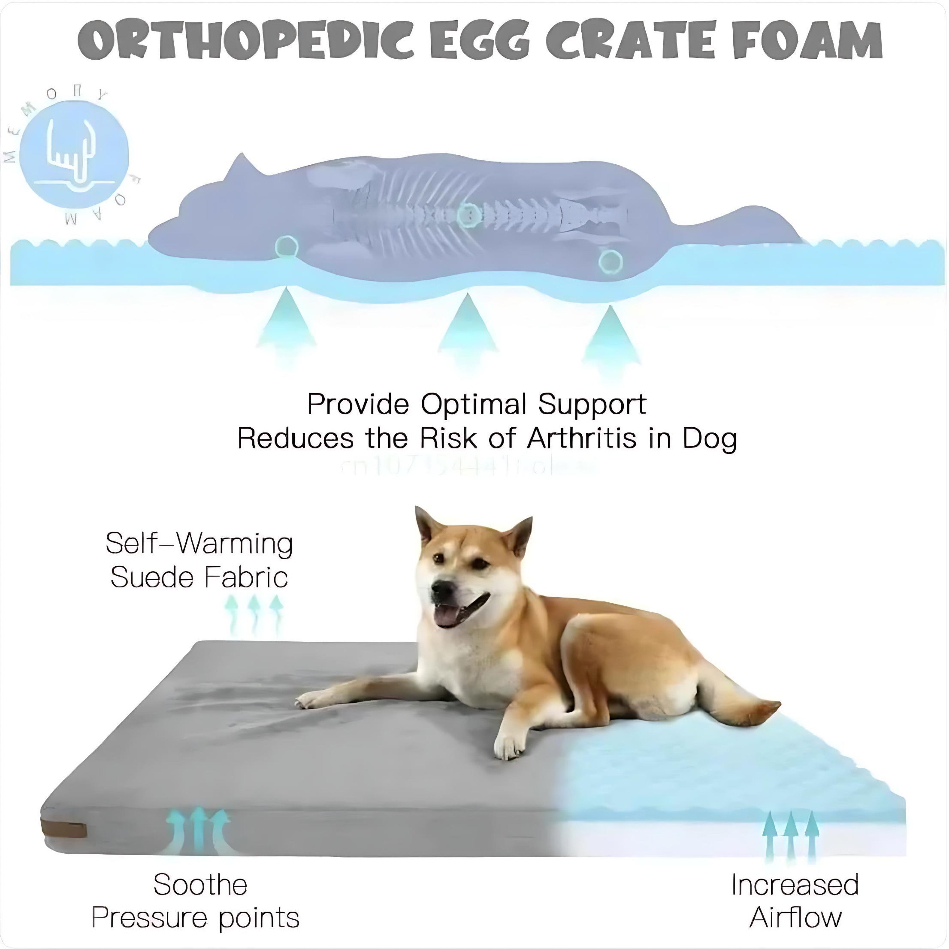 Waterproof Orthopedic Dog Bed With Non Slip Durable Mattress by Wave & Hang