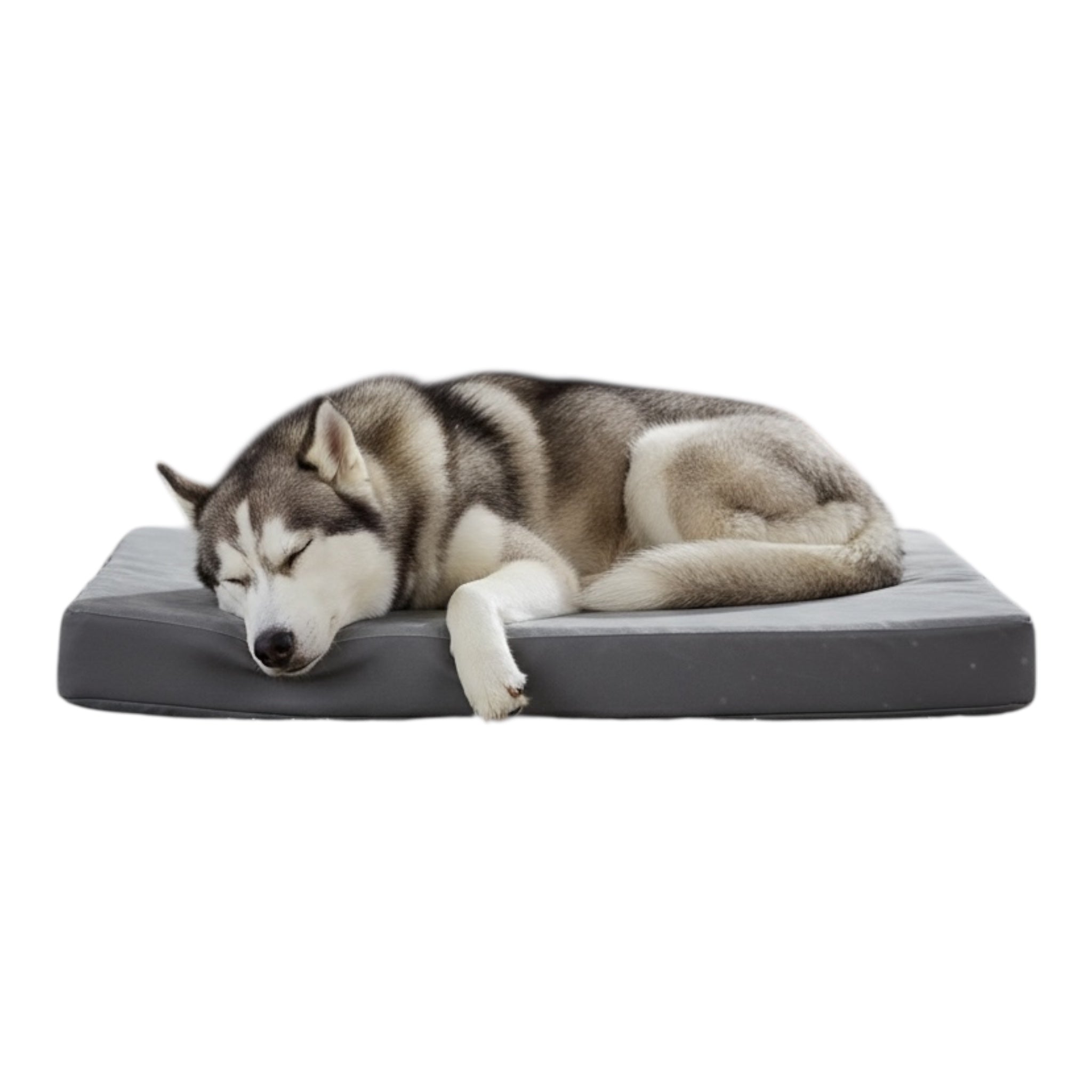 Waterproof Orthopedic Dog Bed With Non Slip Durable Mattress by Wave & Hang