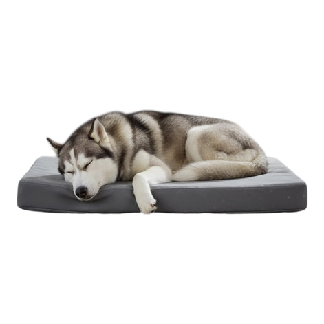 Waterproof Orthopedic Dog Bed With Non Slip Durable Mattress by Wave & Hang