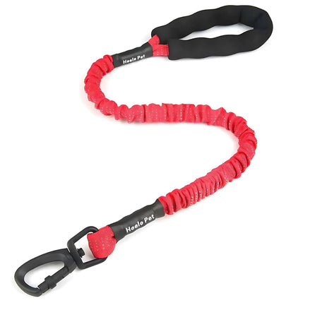 Elastic Dog Leash – Shock-Absorbing for Large Dogs | Adventure Ready! by Wave & Hang
