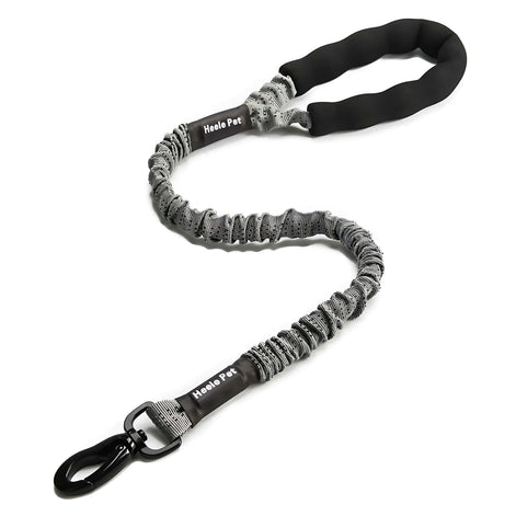 Elastic Dog Leash – Shock-Absorbing for Large Dogs | Adventure Ready! by Wave & Hang