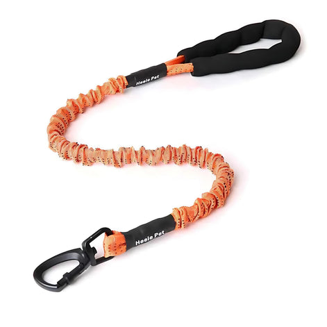 Elastic Dog Leash – Shock-Absorbing for Large Dogs | Adventure Ready! by Wave & Hang